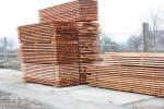 Pícea Madera para construcción | Madera blanda | Madera aserrada | MP-HOLZ, s.r.o.