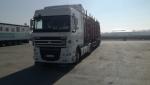Semi-remolque de troncos - Transporte y carga