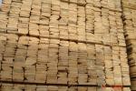 Pícea Madera para palés |  Madera blanda | Madera aserrada | Colorspol