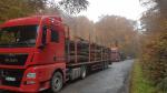 Camión maderero - Transporte y carga