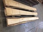 Tilo Madera para carpintería |  Madera dura | Madera aserrada | JAF HOLZ Slovakia