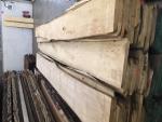 Tilo Madera para carpintería |  Madera dura | Madera aserrada | JAF HOLZ Slovakia