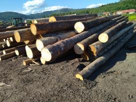 Pícea Tronco cortado | Madera blanda | Troncos | Peter Haladej