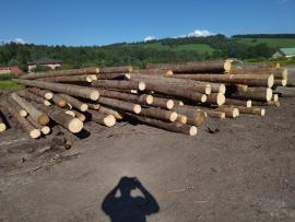 Pícea Tronco cortado | Madera blanda | Troncos | Peter Haladej