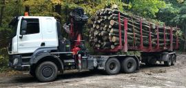 Transporte y carga 13.10.2023 - 30.11.2023 | Servicios | KASE
