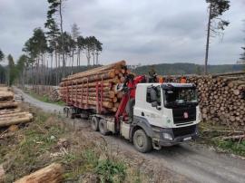 Transporte y carga 13.10.2023 - 30.11.2023 |  Servicios | KASE