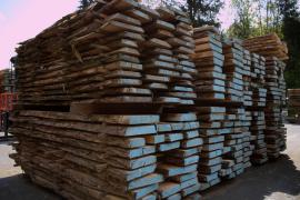 Acacia Madera para construcción | Madera dura | Madera aserrada | Wander Czech s.r.o.