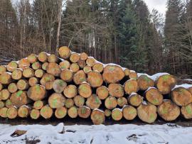 Abies Tronco cortado | Madera blanda | Troncos | ALBA Forrest s.r.o.