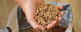 Granulos Pícea | Combustible, leňa | SCOPULUS Handels-und Dienstleistungs GmbH