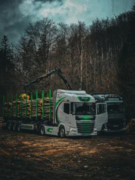 Semi-remolque de troncos - Transporte y carga