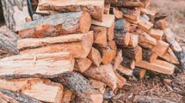 Carbón vegetal Pino | Combustible, leňa | SCOPULUS Handels-und Dienstleistungs GmbH