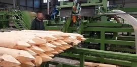 Otro equipo Kompletn výroní Linka kulů . | Maquinaria para aserraderos | Maquinaria de carpintería | Drekos Made s.r.o