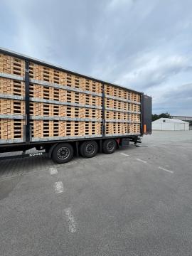 Palés Palés de un sólo uso | Embalaje, palés | Woodproo s.r.o.