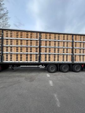 Palés Palés de un sólo uso | Embalaje, palés | Woodproo s.r.o.