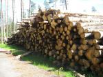 Abedul Pulpa de madera |  Madera dura | Tronco | Закупка ООО