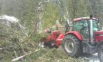 Otro equipo Eschelbock Bieber 70, Case 255 |  Maquinaria forestal | Maquinaria de carpintería | ŠULEK FOREST, s. r. o.