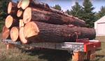 Sierra de banda Kanada -HD36 |  Maquinaria para aserraderos | Maquinaria de carpintería | Drekos Made s.r.o