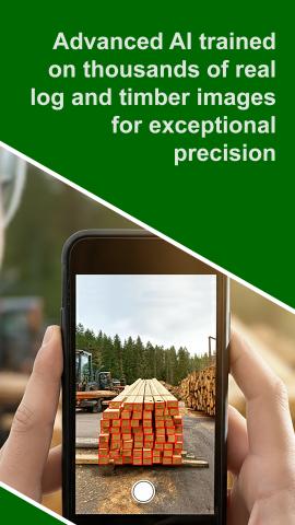 Programa de stock WoodProfi - AI