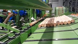 Otro equipo Kompletn výroní Linka kulů . |  Maquinaria para aserraderos | Maquinaria de carpintería | Drekos Made s.r.o