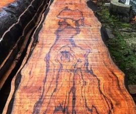 Aspidistra Madera para construcción |  Maderas tropicales | Madera | KIBA