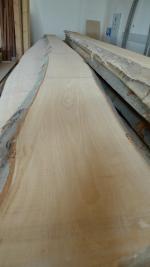 Haya Madera para carpintería |  Madera dura | Madera | Sušene rezivo
