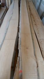 Haya Madera para carpintería |  Madera dura | Madera | Sušene rezivo