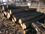 Roble Tronco cortado |  Madera dura | Tronco | Nagy Bertold egyéni vállalkozó